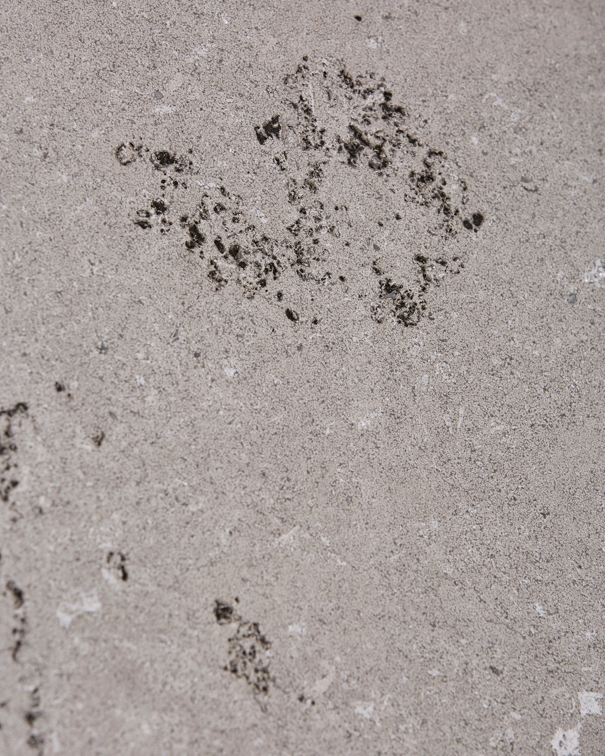 Kimmeridge Limestone Dry Etched Slab