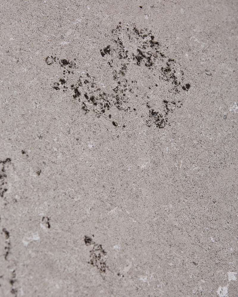Kimmeridge Limestone Dry Etched Slab