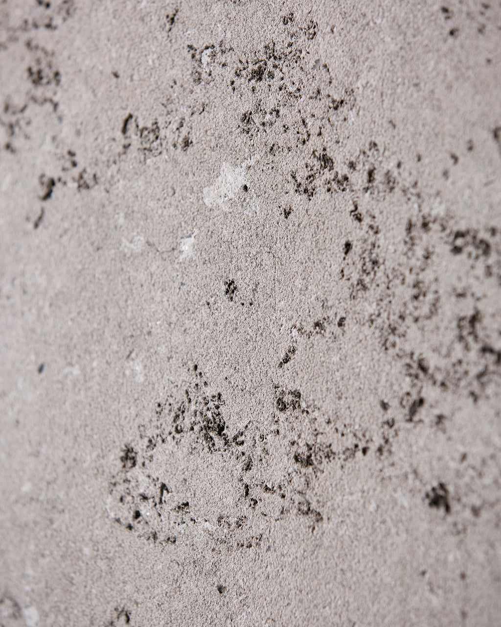 Kimmeridge Limestone Dry Etched Slab