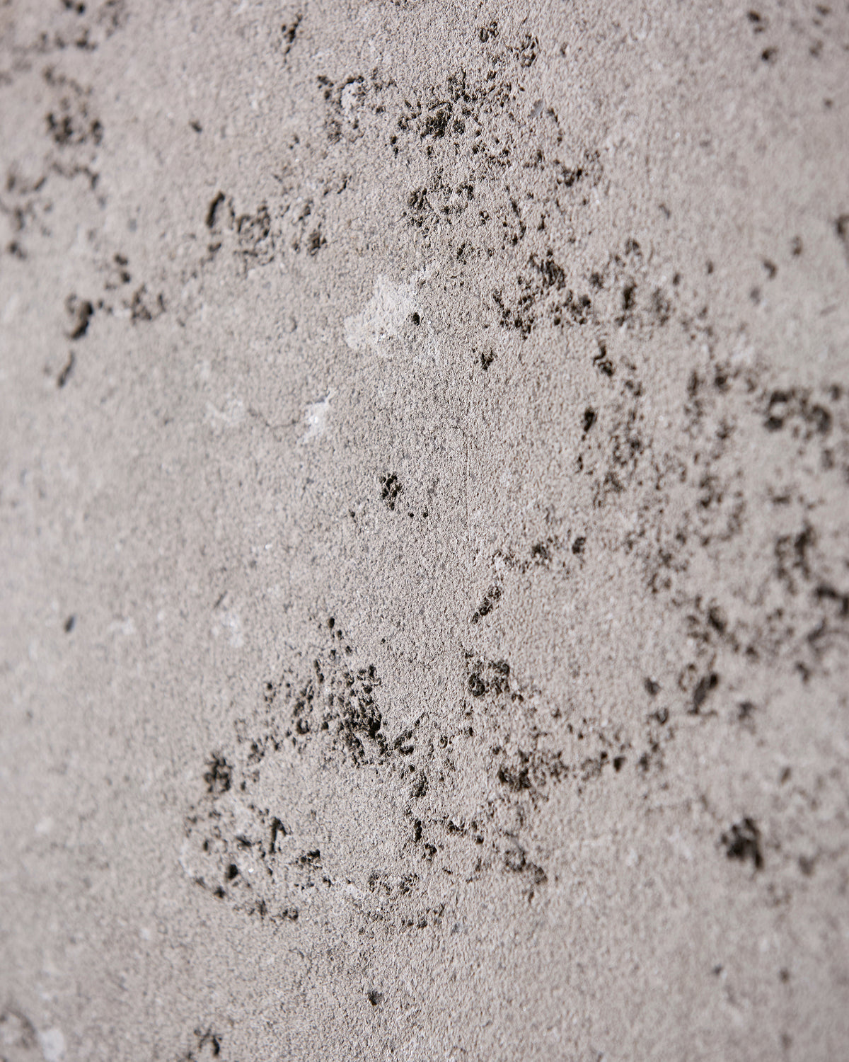 Kimmeridge Limestone Dry Etched Slab