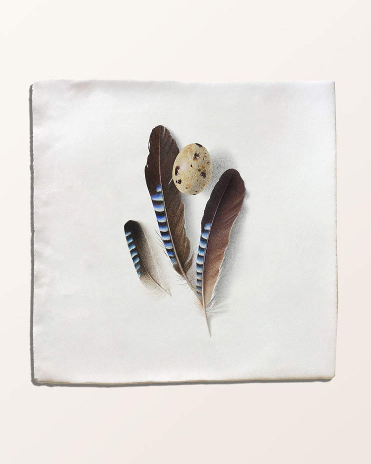 Menagerie Ceramic by Michael Angove