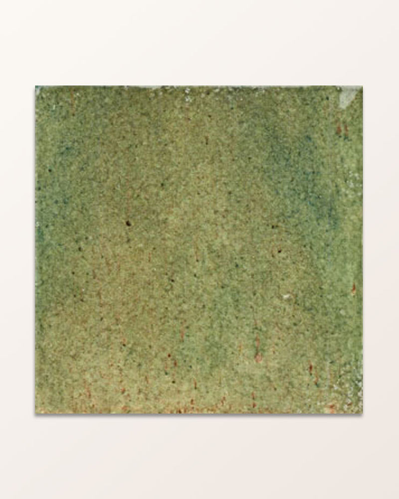 Pottery Porcelain Kale Green Square