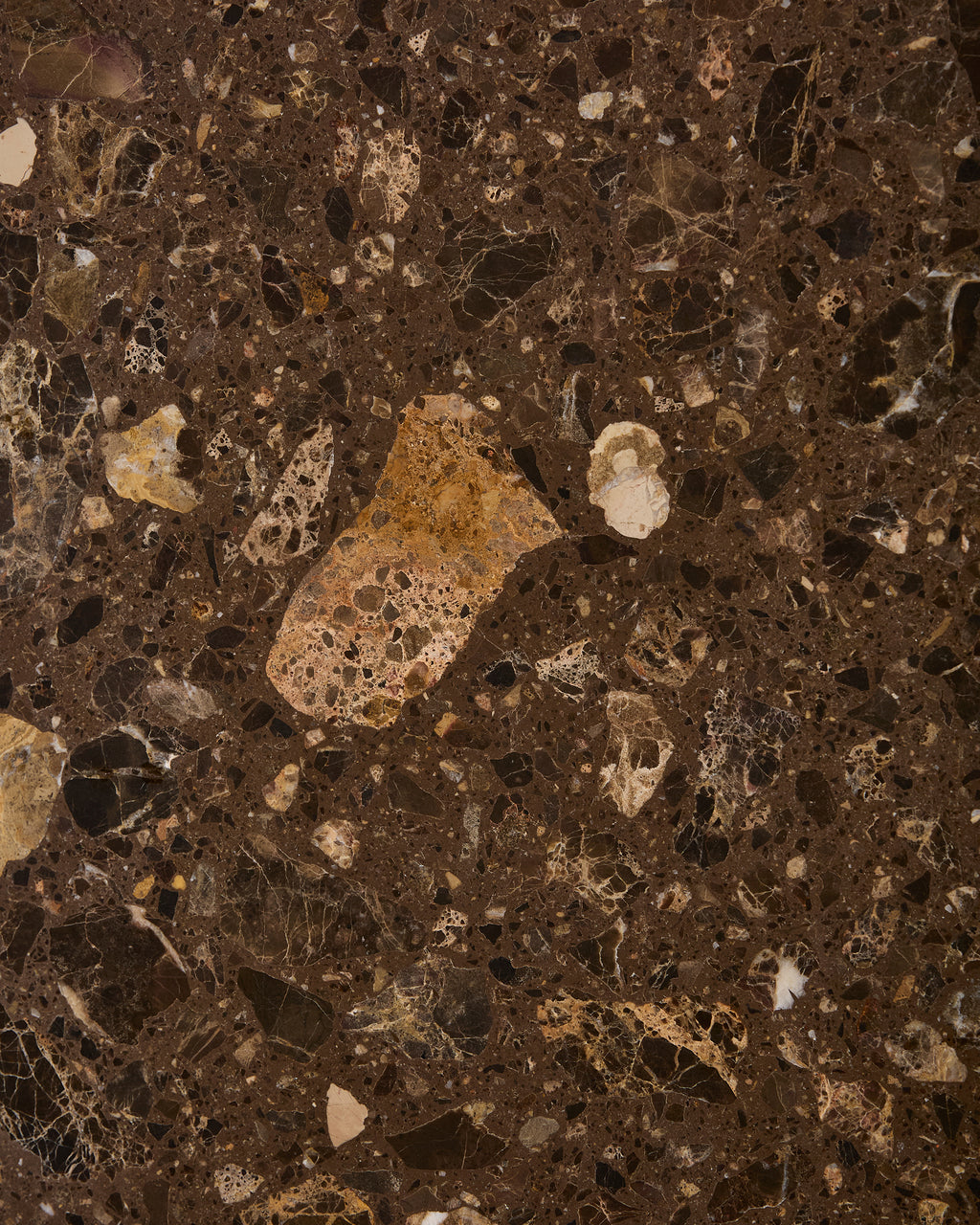 Rialto Terrazzo Ca'Doro Honed Slab