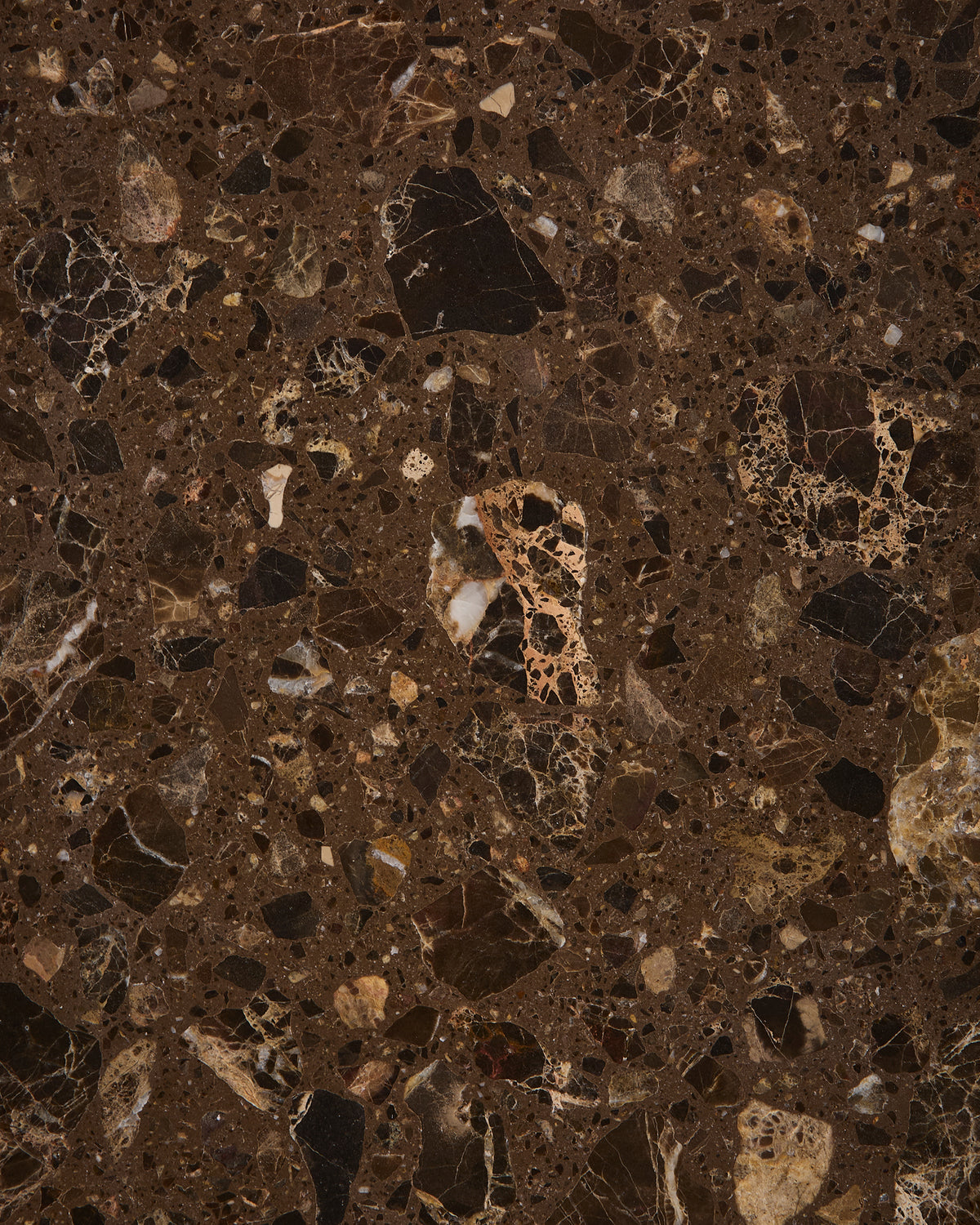 Rialto Terrazzo Ca'Doro Honed Slab