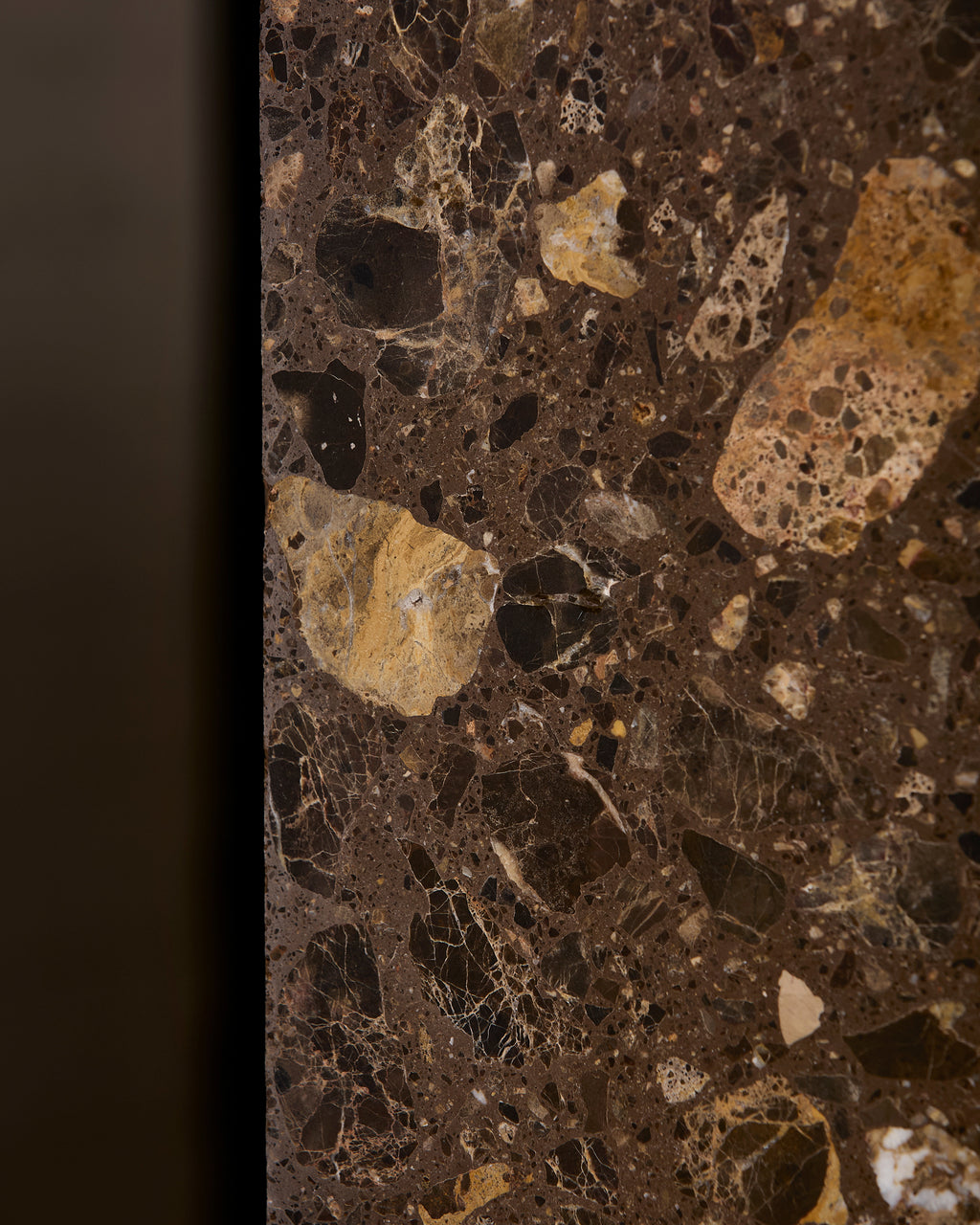 Rialto Terrazzo Ca'Doro Honed Slab
