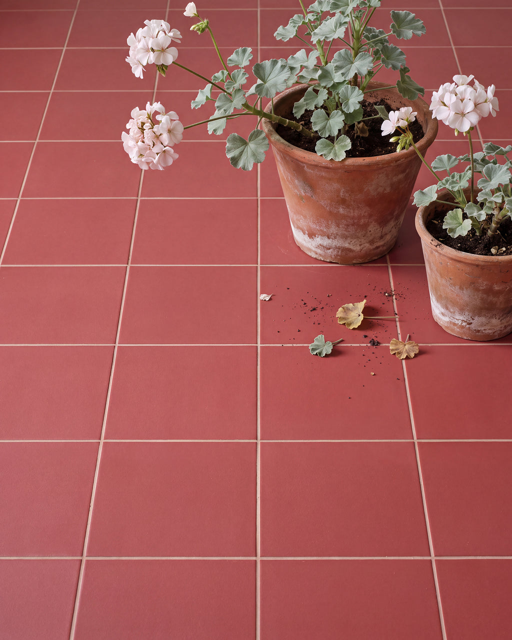 Sanderson - Plain Madder Porcelain