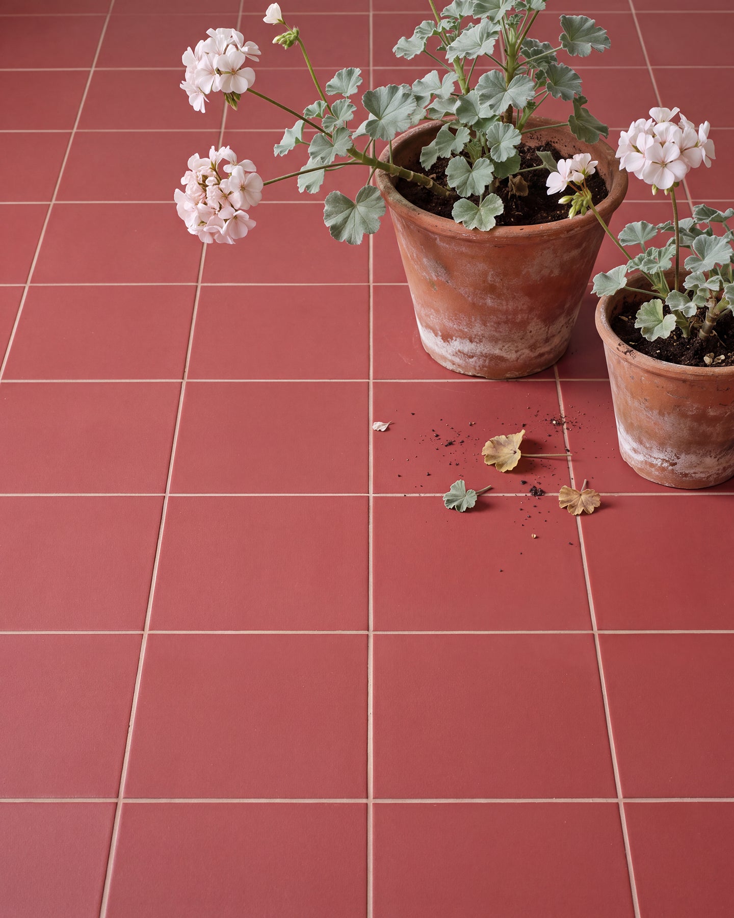 Sanderson - Plain Madder Porcelain