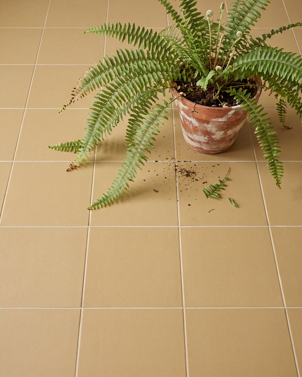 Sanderson - Plain Ochre Porcelain