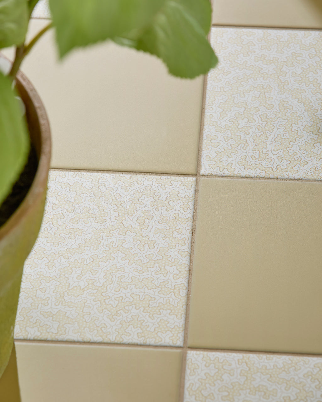 Sanderson - Plain Ochre Porcelain