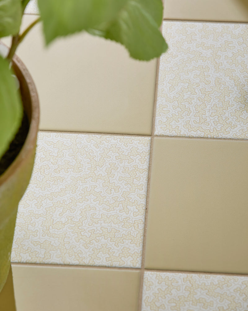 Sanderson - Truffle Ochre Porcelain||Sanderson-Plain-Ochre-Porcelain