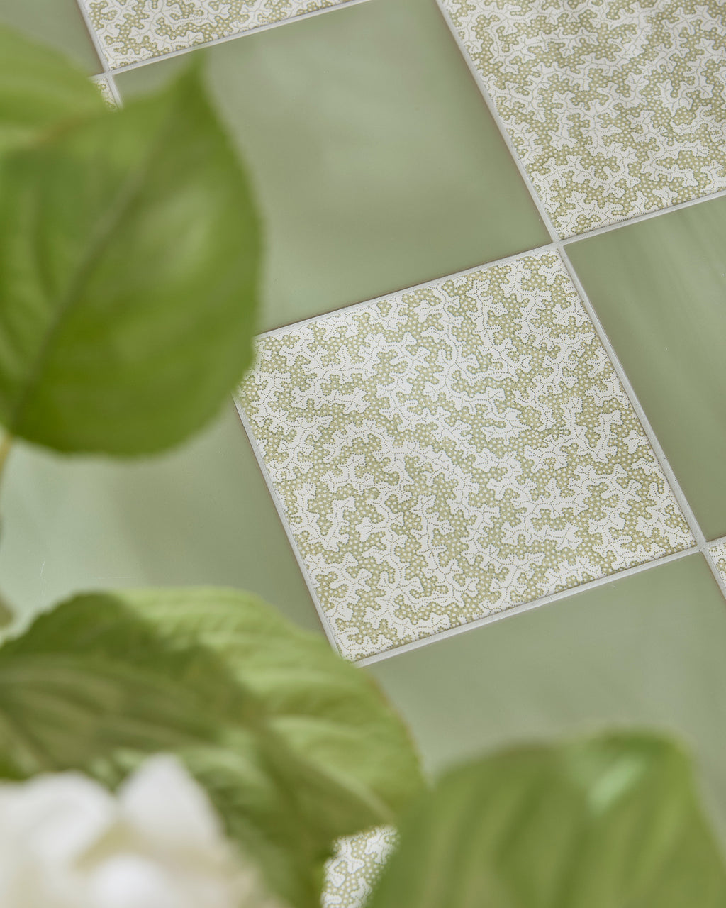 Sanderson - Truffle Sage Porcelain