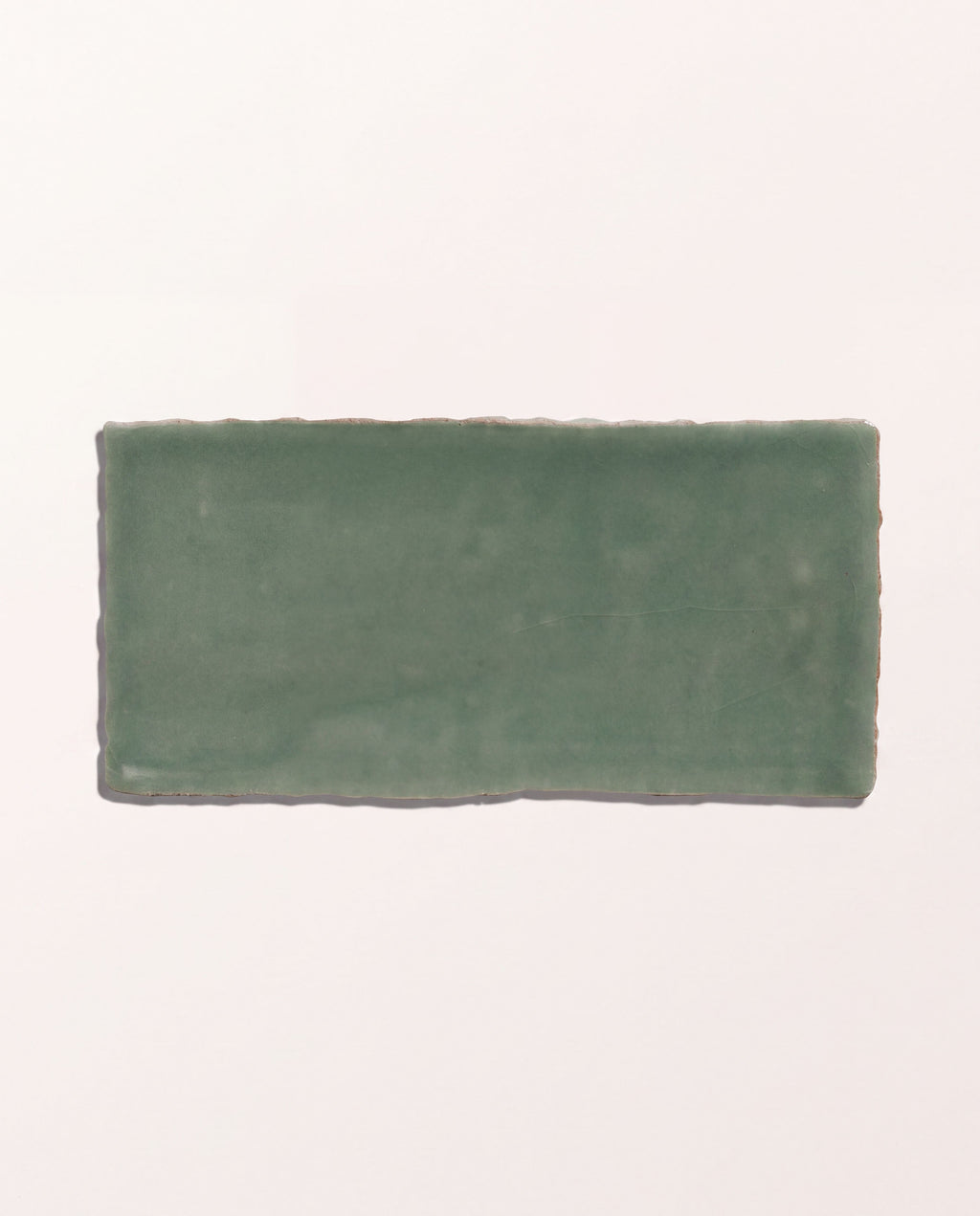 Seaton Ceramic Sea Cabbage