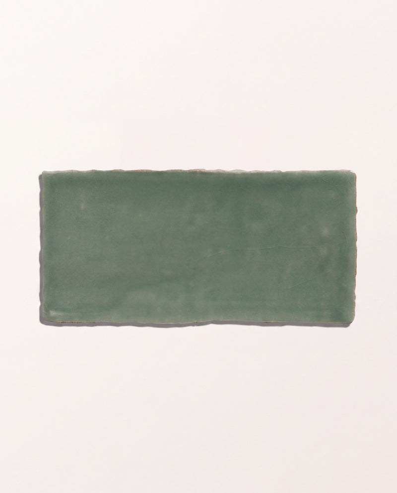 Seaton Ceramic Sea Cabbage