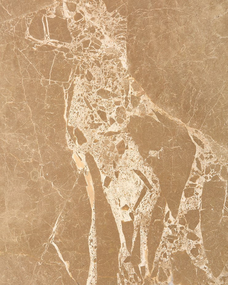 Versailles Brun Marble Slab