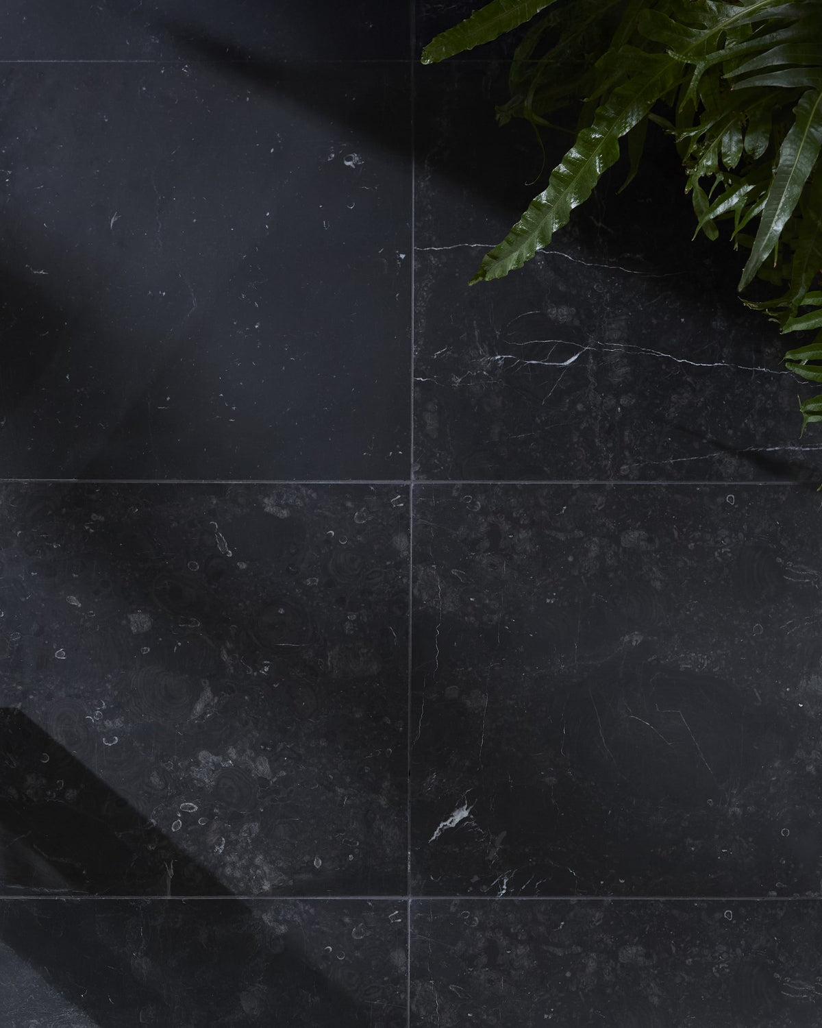 Versailles Marble Noir Honed
