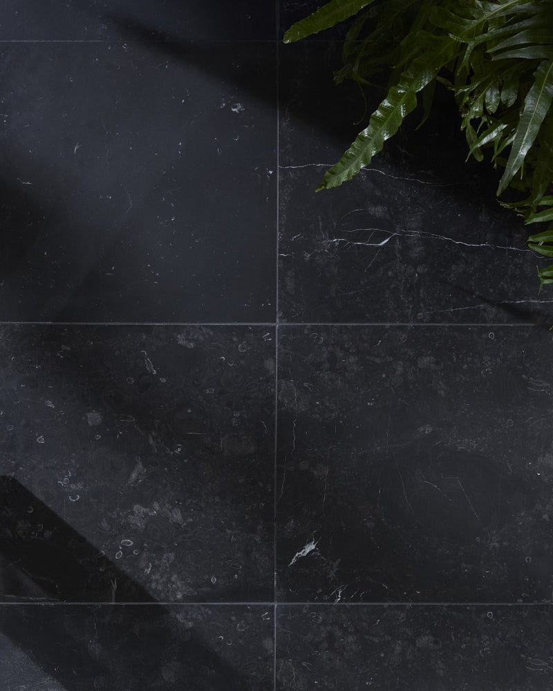 Versailles Marble Noir Honed