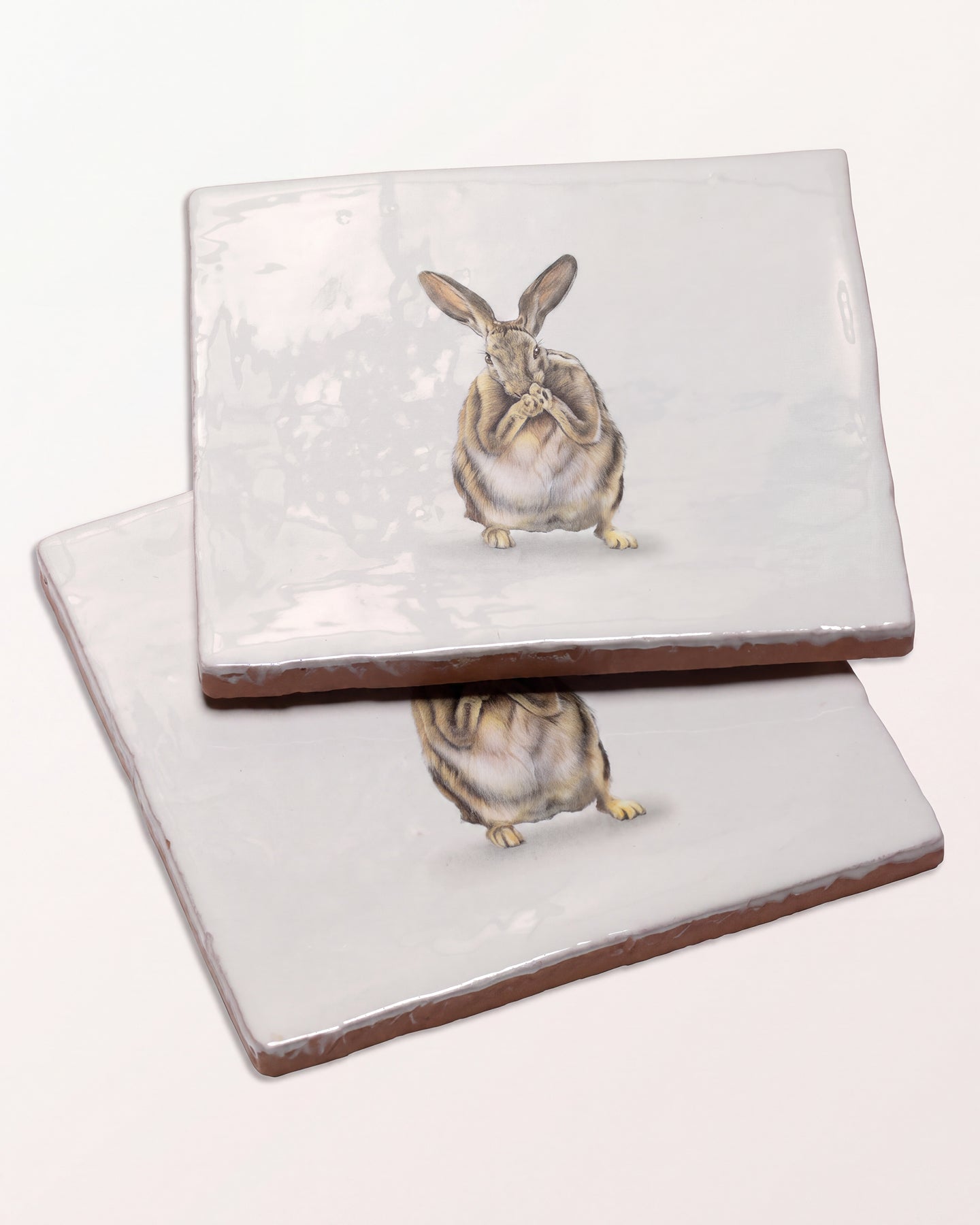 Wiltshire Hares Ceramic By Joanna May