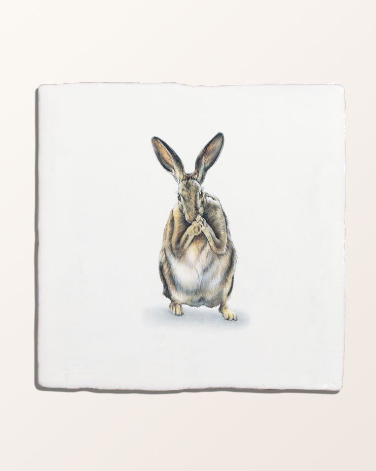 Wiltshire Hares Ceramic By Joanna May