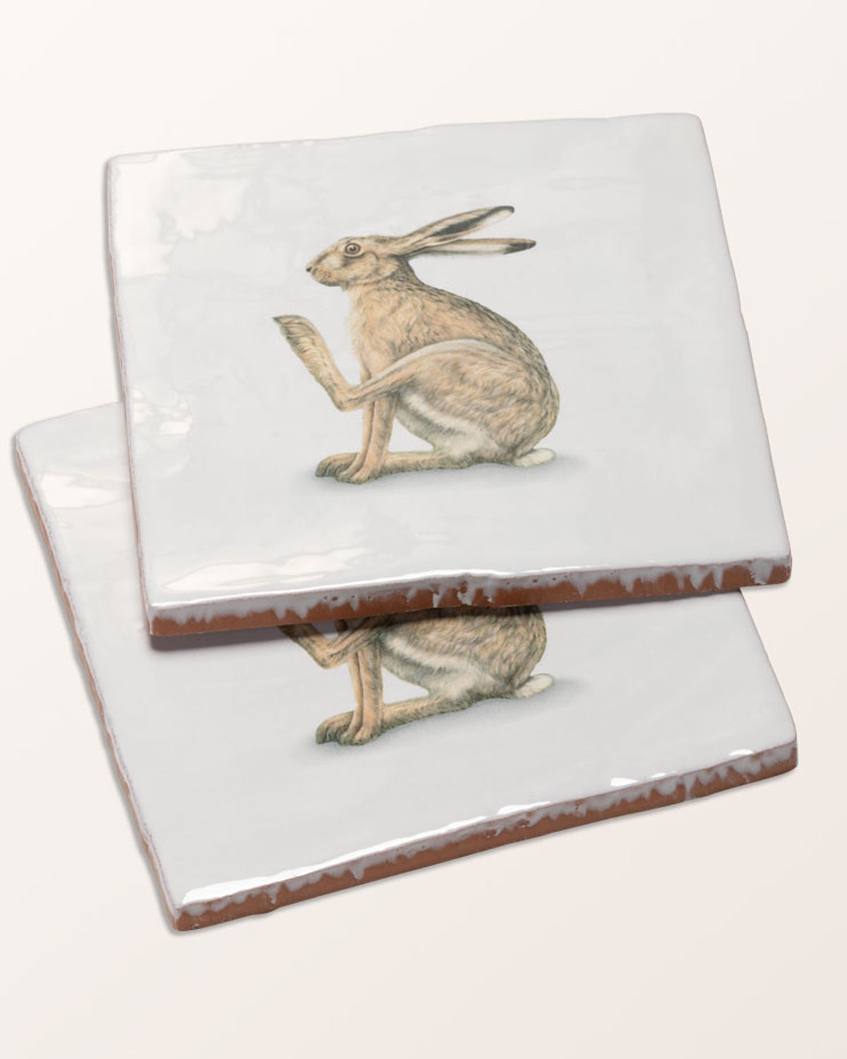 Wiltshire Hares Ceramic By Joanna May
