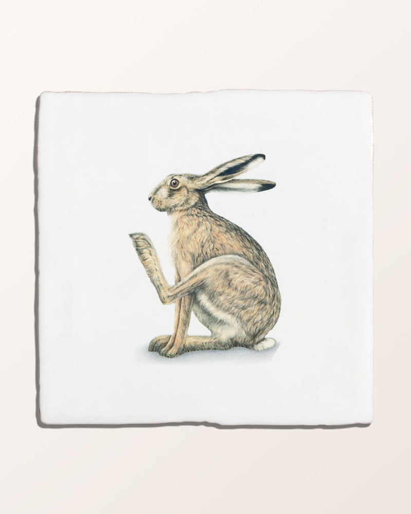 Wiltshire Hares Ceramic By Joanna May