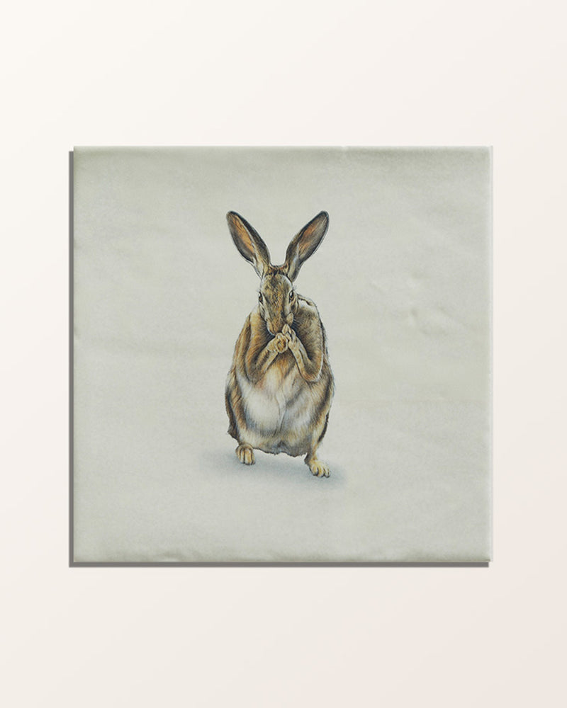 Wiltshire Hares Ceramic By Joanna May