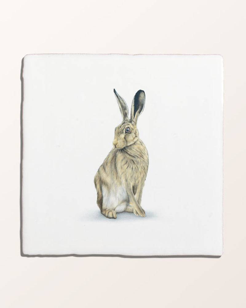 Wiltshire Hares Ceramic By Joanna May