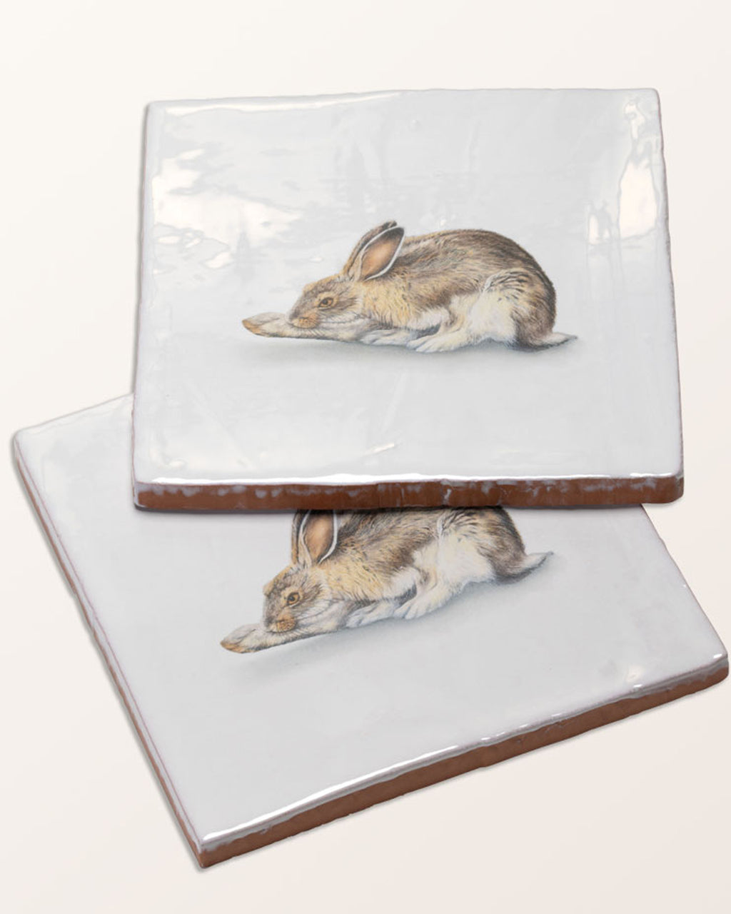 Wiltshire Hares Ceramic By Joanna May