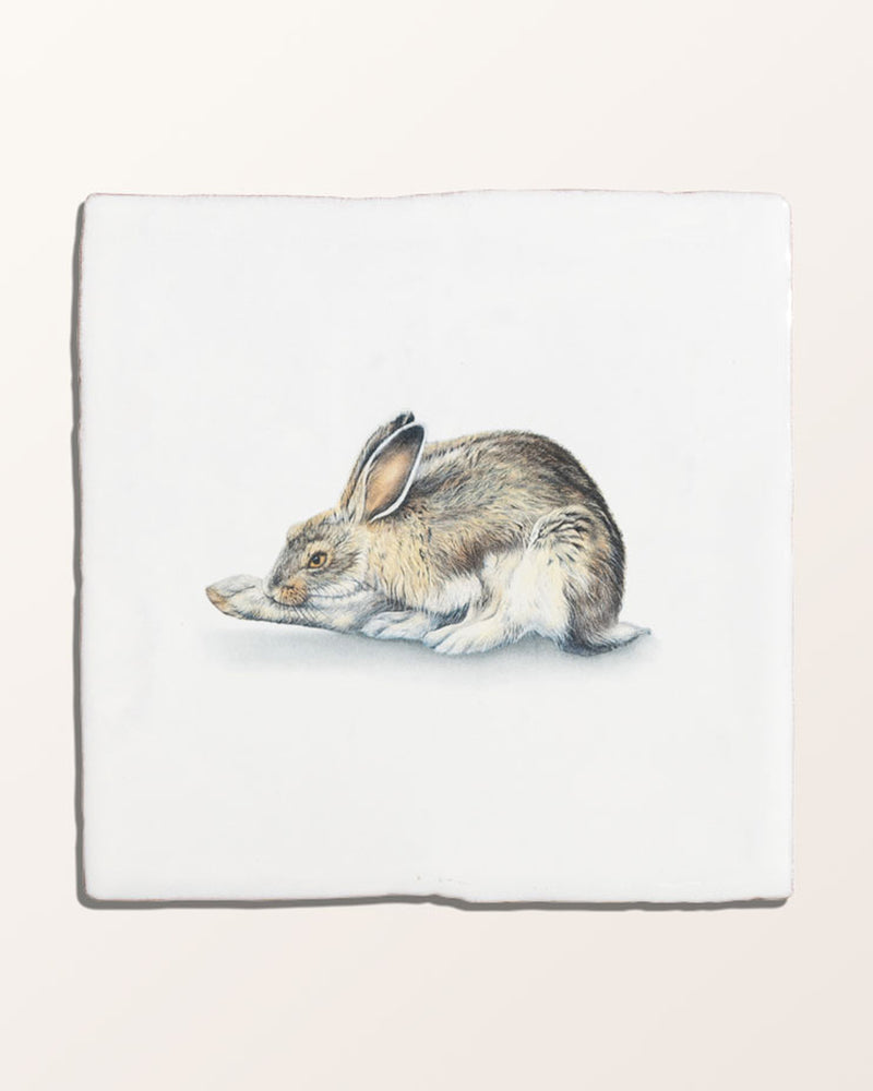 Wiltshire Hares Ceramic By Joanna May