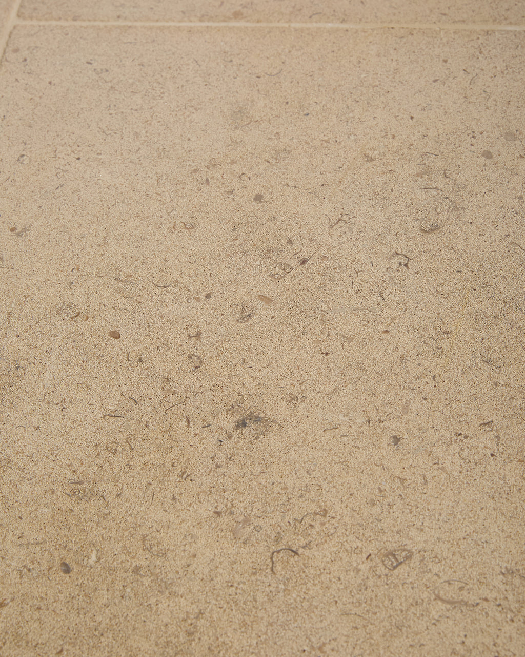 Bath Limestone Honed Finish