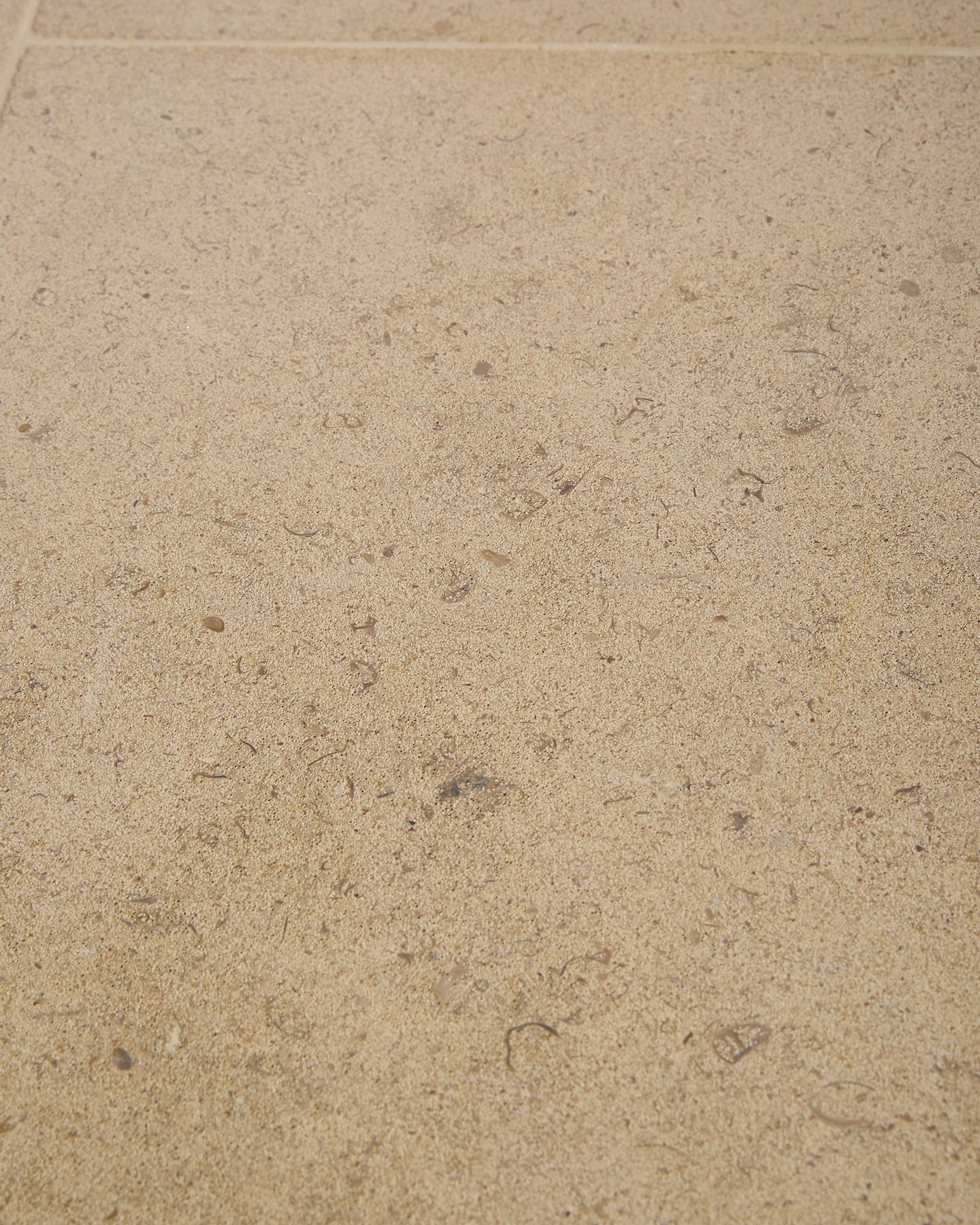 Bath Limestone Honed Finish
