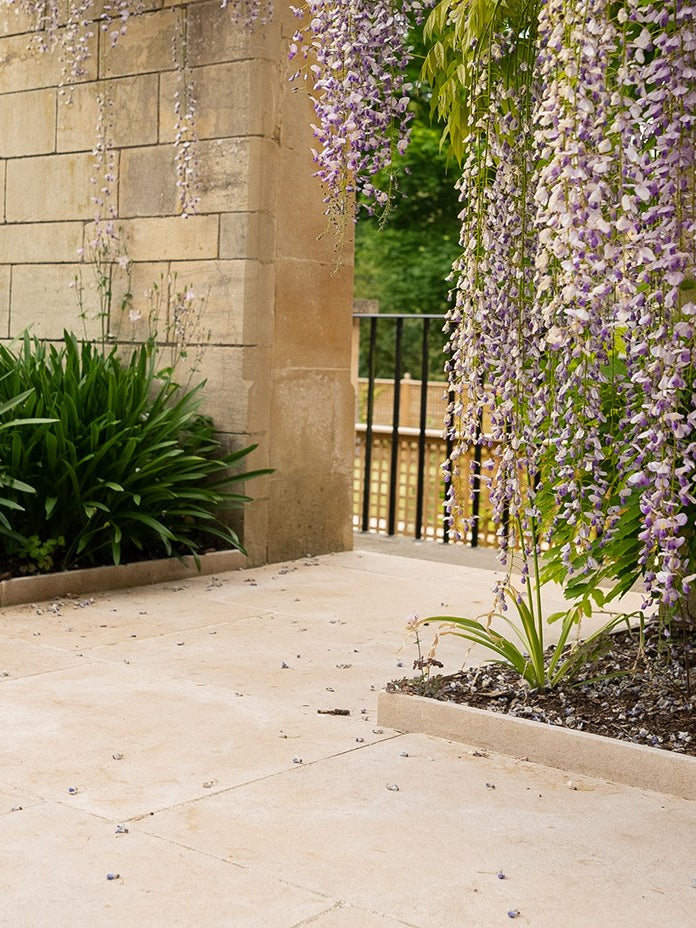 Buscot Limestone Tumbled & Etched paving beneath flowering wisteria against a Bath stone wall