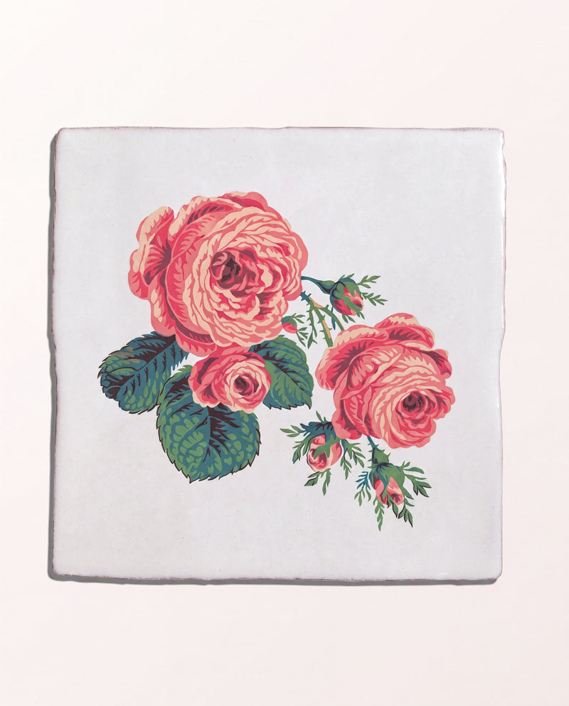 STUDIO Divine Savages The Brambles Collection