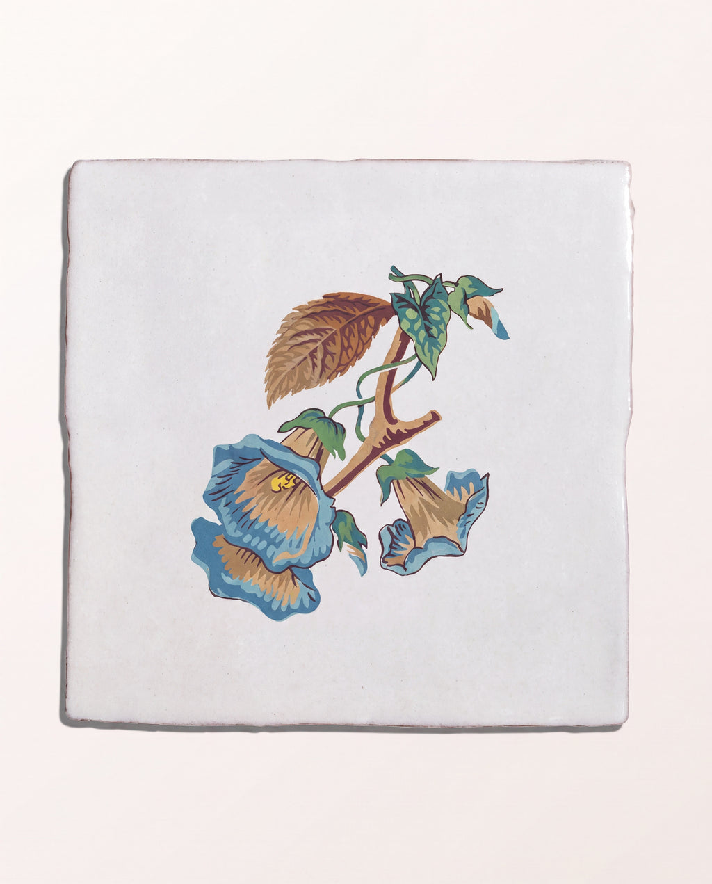 STUDIO Divine Savages The Brambles Collection