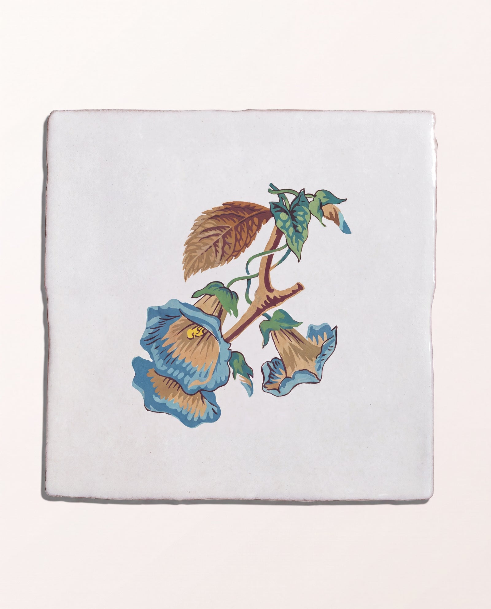 STUDIO Divine Savages The Brambles Collection