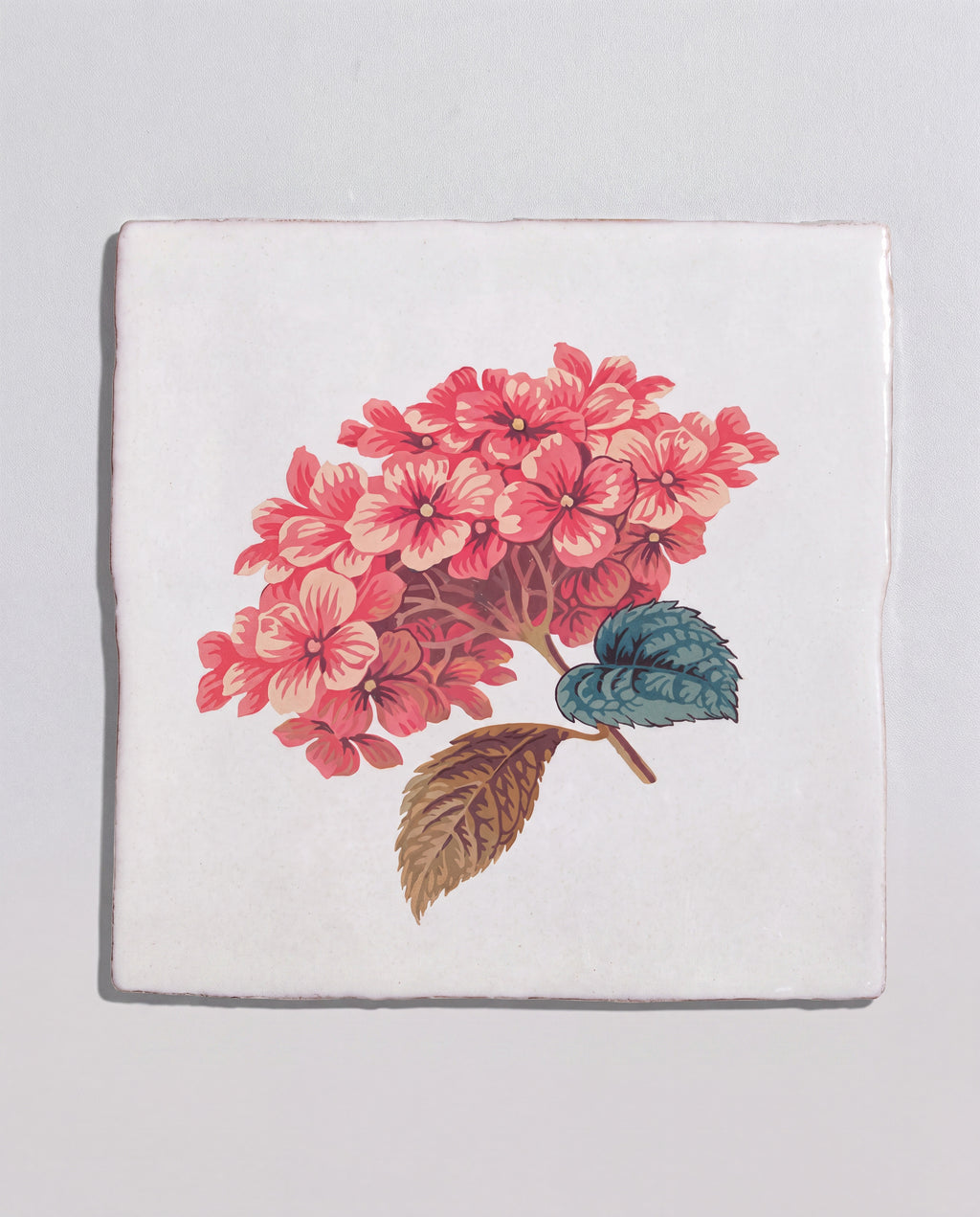 STUDIO Divine Savages The Brambles Collection
