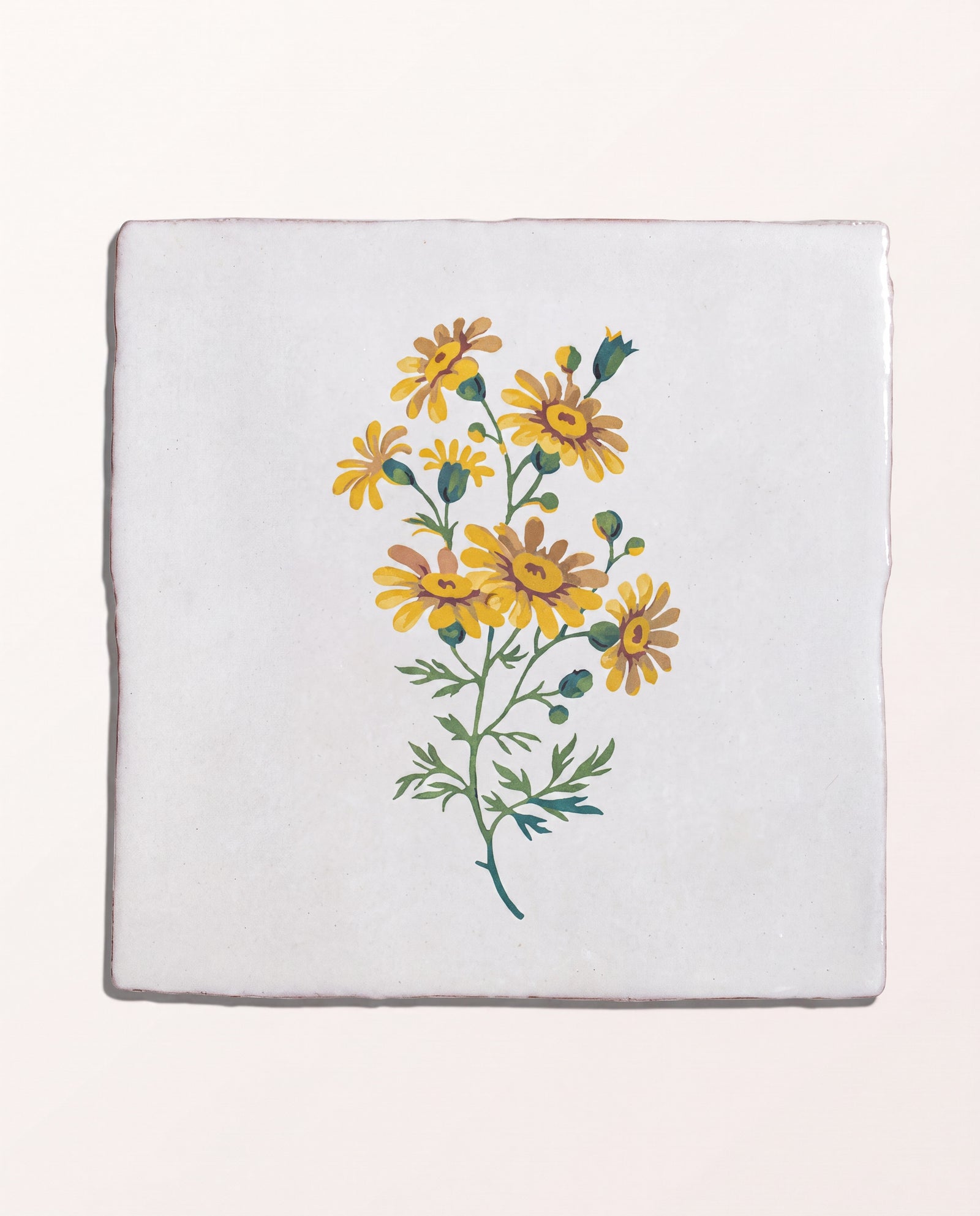 STUDIO Divine Savages The Brambles Collection