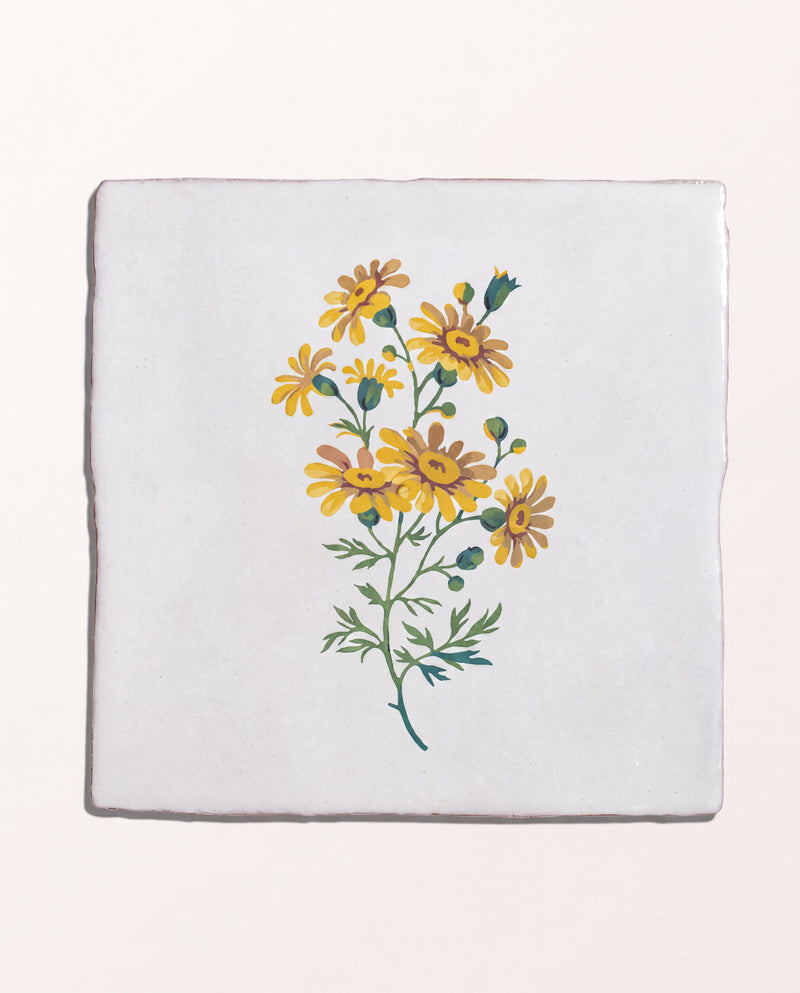 STUDIO Divine Savages The Brambles Collection