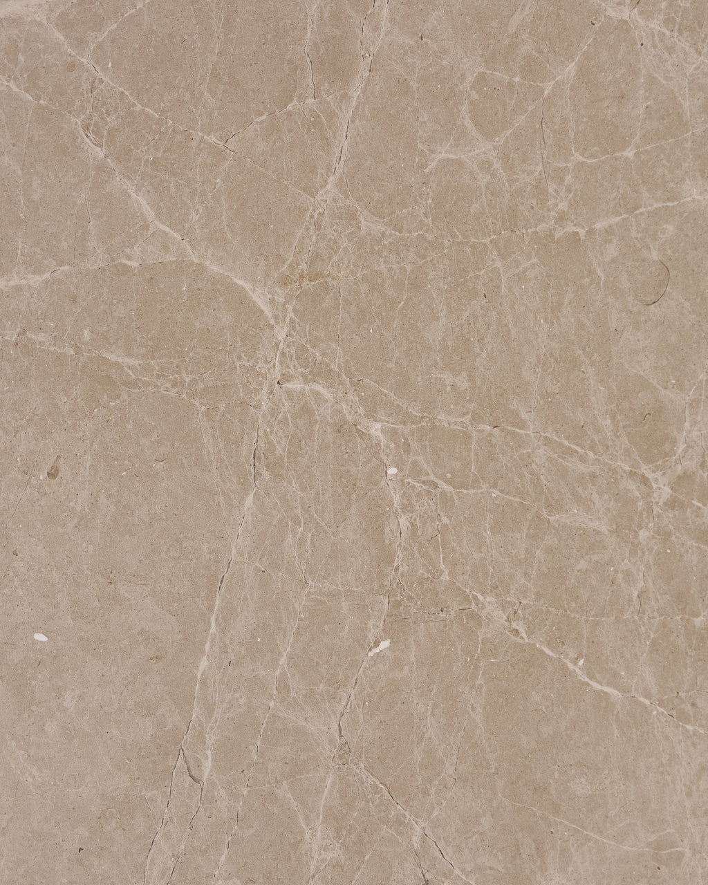 Surface texture of Domus Marble Slab in a honed finish, with soft white veining branching through a warm putty-cream ground