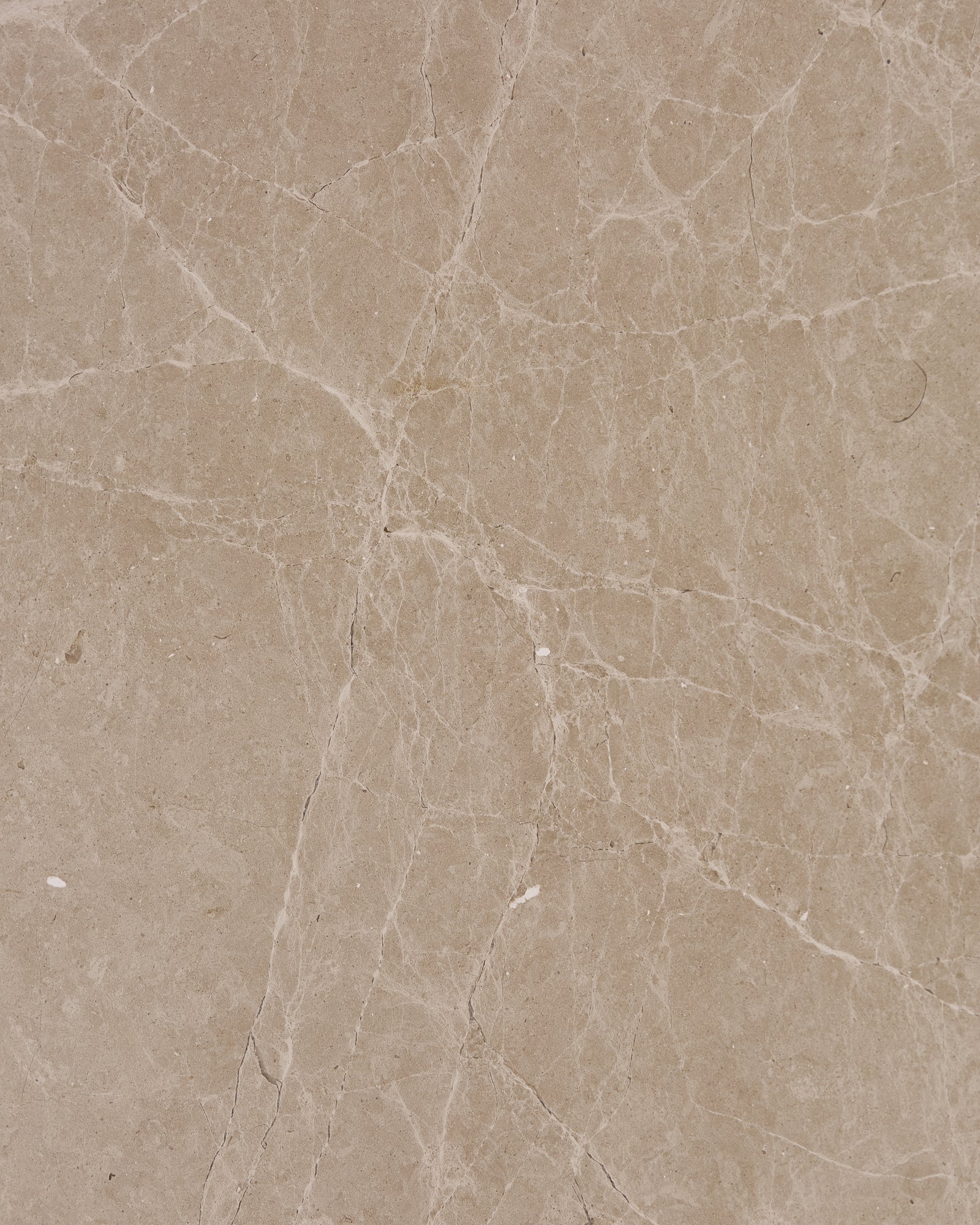 Surface texture of Domus Marble Slab in a honed finish, with soft white veining branching through a warm putty-cream ground