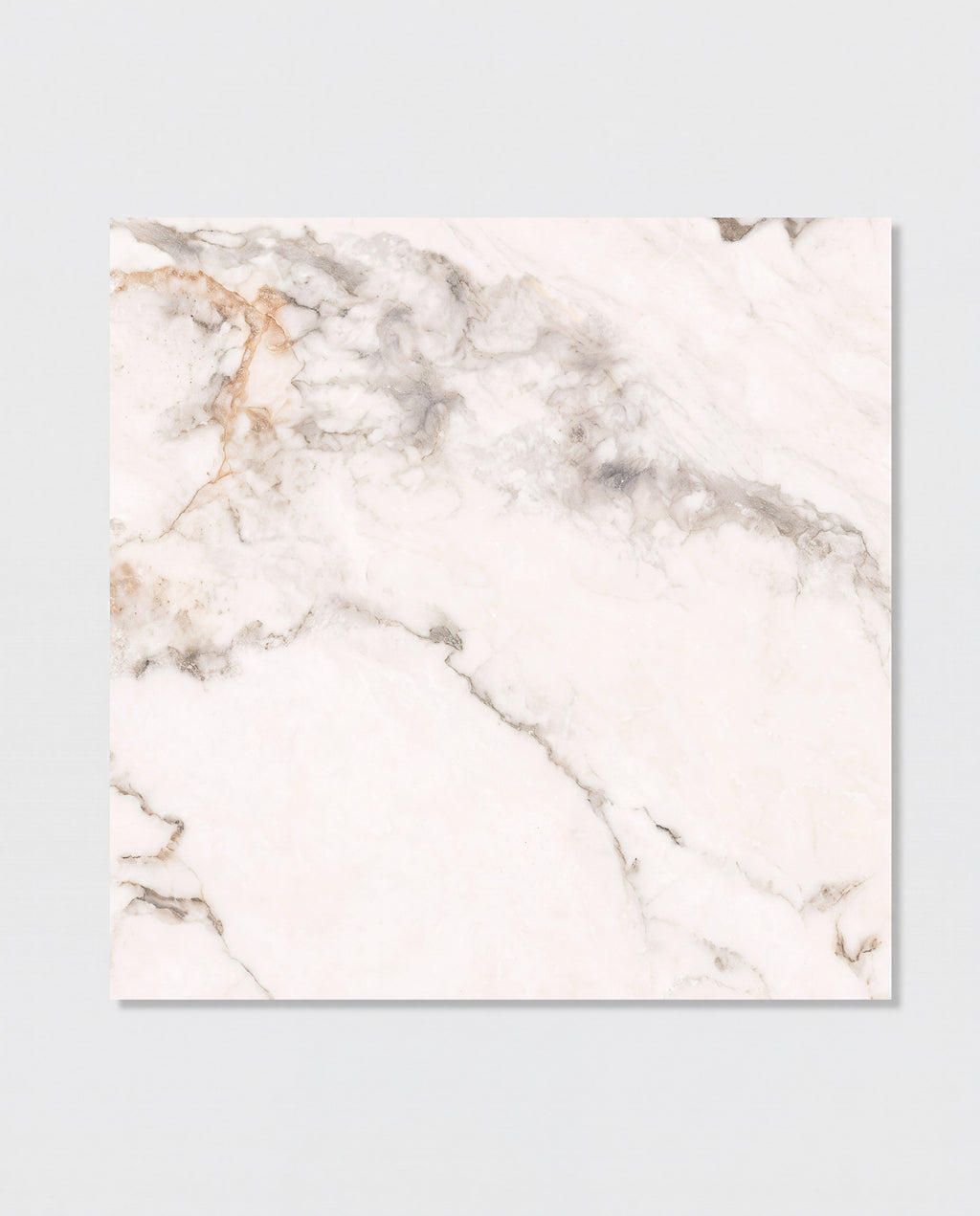 Muscat Porcelain