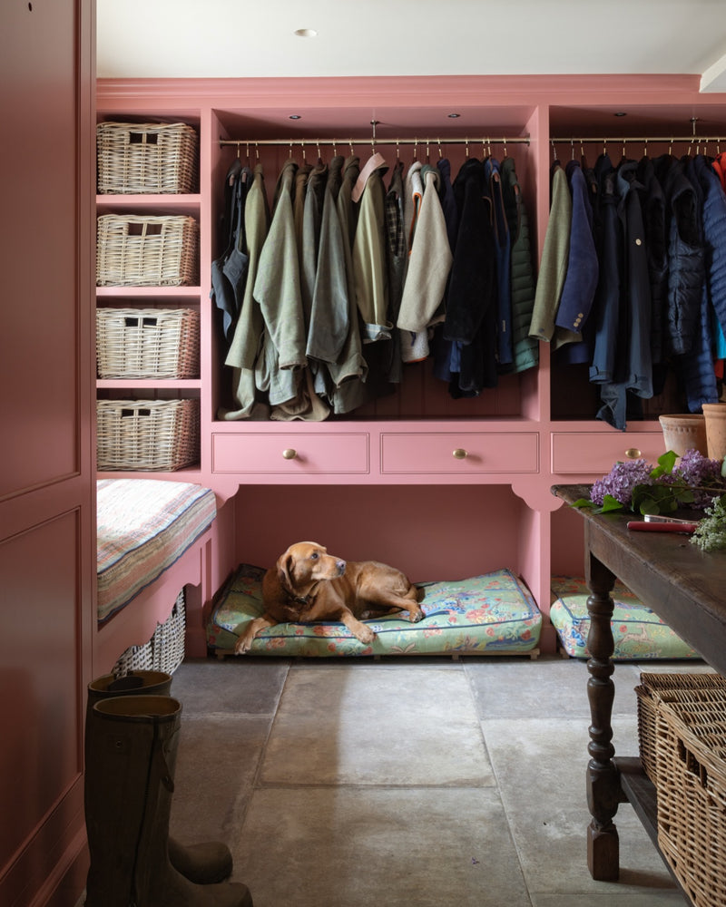 Provence Porcelain Cenere flagstones across a boot room floor, with pink painted joinery, hanging coats, wicker baskets and a labrador asleep on a floral cushion