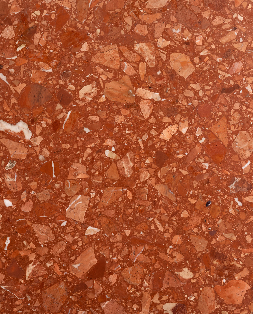 Rialto Terrazzo Santa Croce Honed