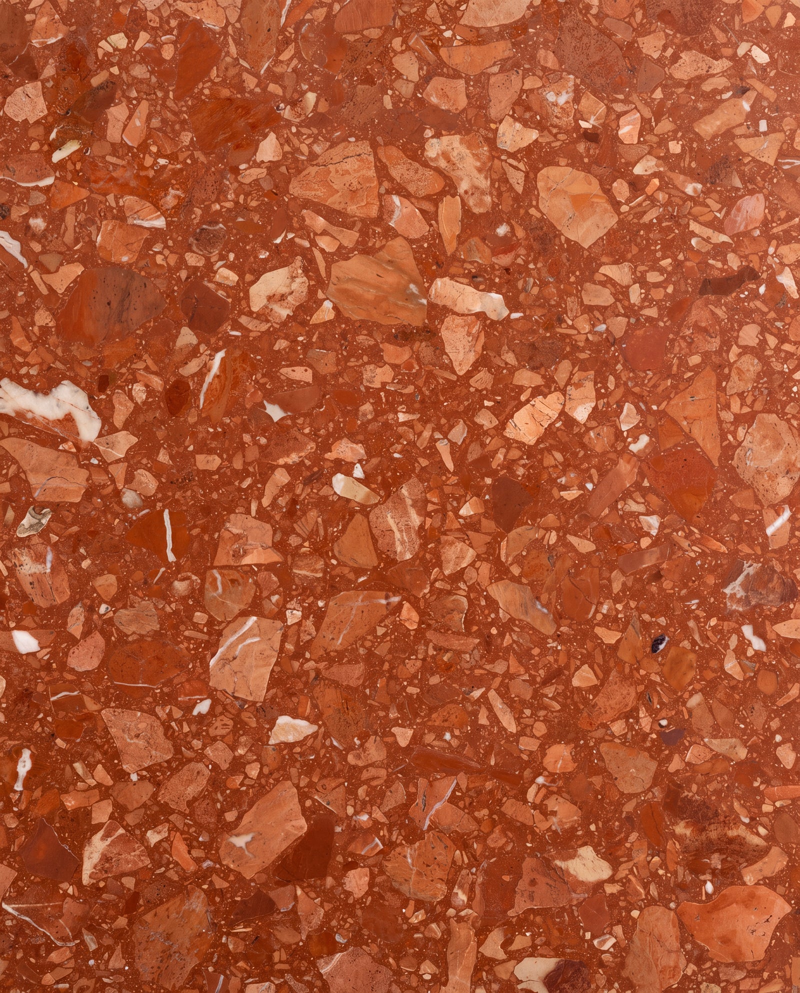 Rialto Terrazzo Santa Croce Honed