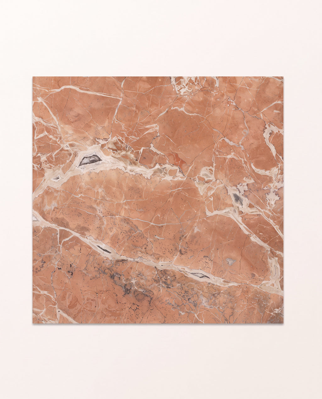 Versailles Marble Rouge Honed